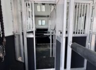 2019 ADAM 6/8 HORSE HEAD TO HEAD W/ AIR RIDE!! $59,900