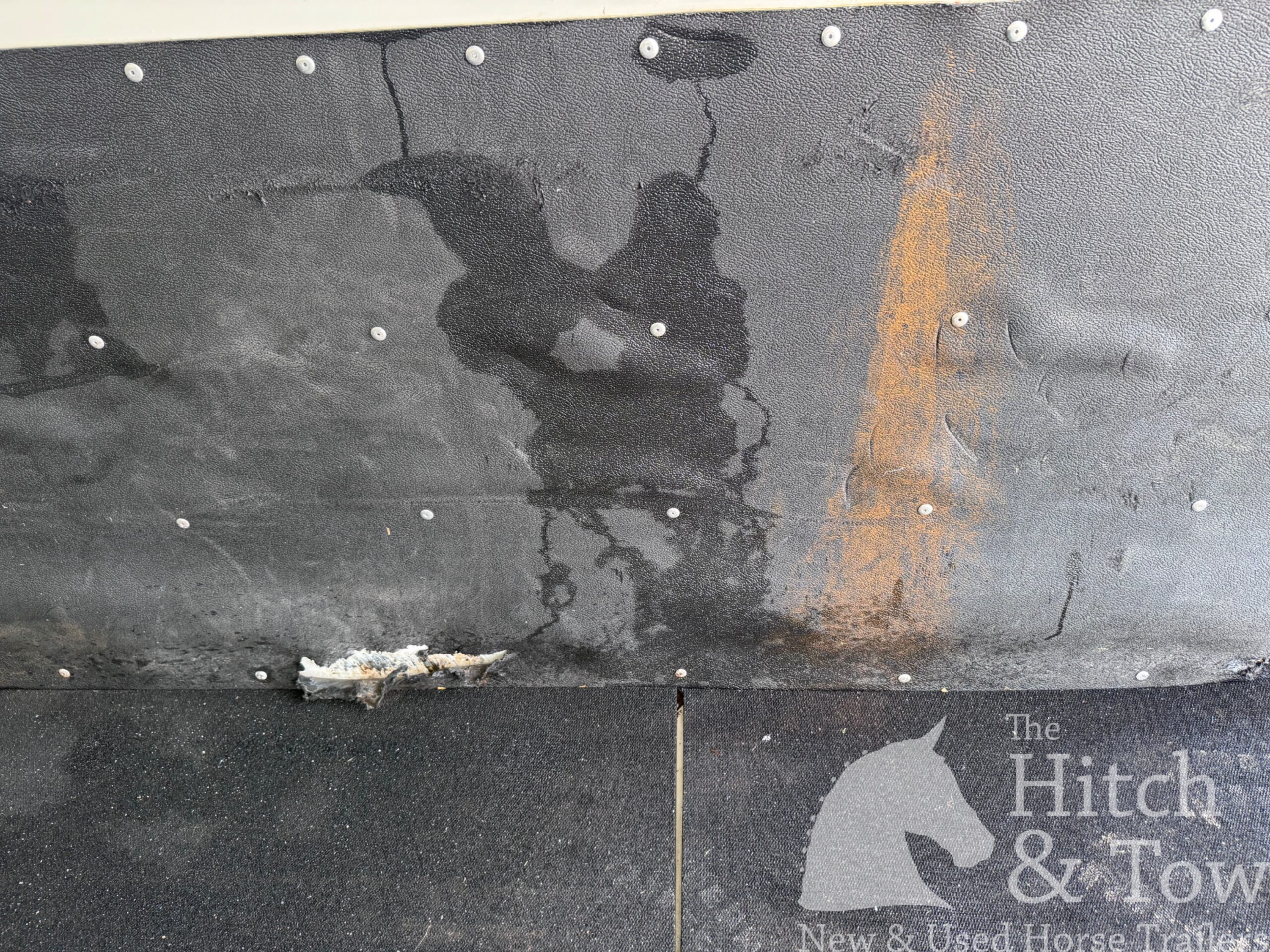 2019 Bee 4 HORSE SLANT LOAD GOOSENECK w/ DRESSING ROOM! $15,500