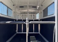 2019 SHADOW 4 HORSE HEAD TO HEAD W/ UPGRADES $36,900