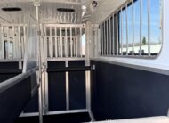 2019 SHADOW 4 HORSE HEAD TO HEAD W/ UPGRADES $36,900