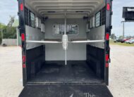 2022 HAWK 2 HORSE BUMPER PULL W/ DRESSING ROOM & WARMBLOOD SIZE!! $23,500